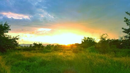 sunset in the field