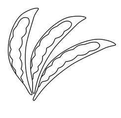 cure cartoon hand drawn vector green beans outline.