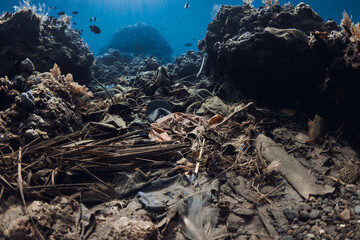 Underwater scene with pollution in corals. Tropical sea with transparent blue water