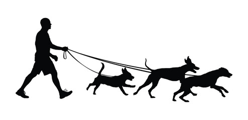 Man walking three dogs on leashes outdoors side view vector black silhouettes. Pet owner dog walker holding on leashes walking outside flat silhouette illustration.