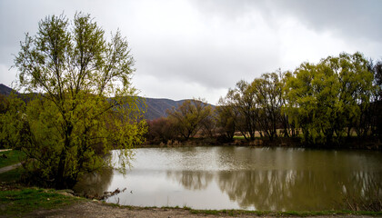 Serene pond reflecting overcast sky, surrounded by lush, budding trees and distant hills.
