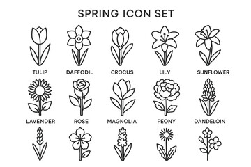 Spring icon set featuring tulip, daffodil, crocus, lily, sunflower, lavender, rose, magnolia, peony, dandelion