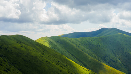 Obraz premium landscape Green mountain range covered with grass, without trees and bushes, Carpathians, Borzhava, mountains, tourism, travel and backpacking
