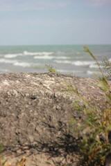 beach and sea