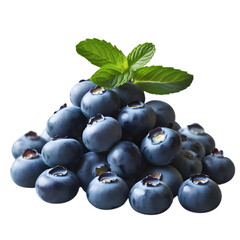 Fresh blueberries isolated on white background with green leaves and ripe juicy berries