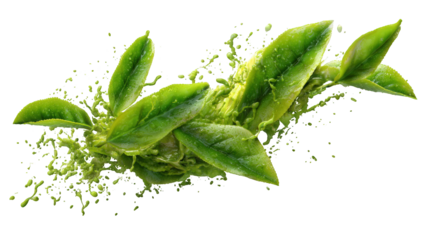 Vibrant green leaves and splashes