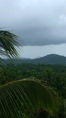 Lush landscape under a cloudy sky