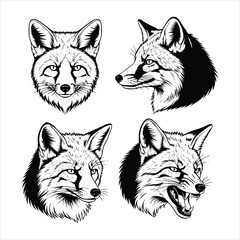 Fox head illustrations with different expressions isolated on white background, showcasing various angles and emotions in a detailed graphic style