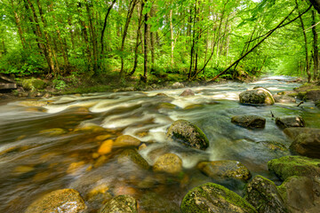 Water stream crossing the Jacques-Cartier National Park in Quebec Province near Quebec City, oncoming water along rocky river bed, Jacque cartier river