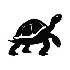 Black silhouette of a tortoise walking on a white background