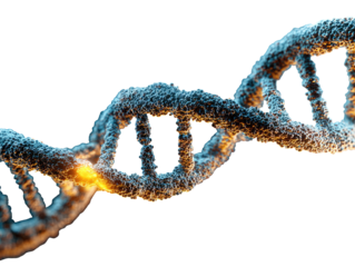 3D DNA helix, detailed structure
