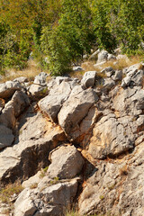 Rocky Hillside with Sparse Vegetation