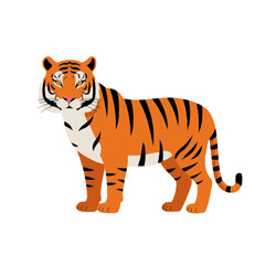 Obraz premium Cartoon Tiger Illustration on White Background, Orange Stripes and Black Lines