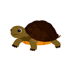 Cute Cartoon Turtle Illustration, Happy Smiling Reptile, Brown Shell, Isolated on White