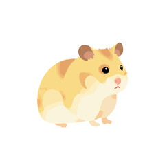Cute Cartoon Hamster Illustration Isolated on White Background Adorable Pet