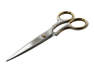 Obraz premium Professional hairdressing shears