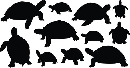 Collection of Tortoise and Turtle Silhouettes in Various Poses Keywords: tortoise, turtle, reptile