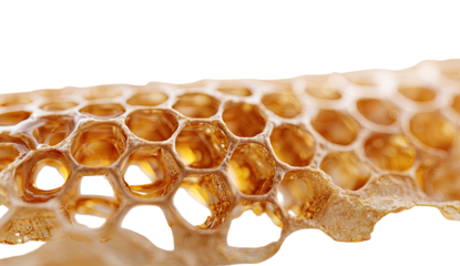 Close-up honeycomb structure