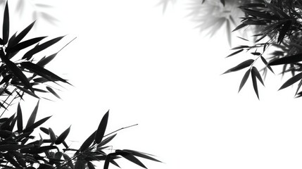 Naklejka premium Elegant black and white bamboo leaves frame a blank white space, creating a minimalist design.
