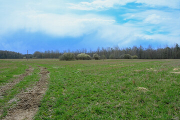 Grassy Field with Dirt Path and Tree Line in Yelnya Nature Reserve