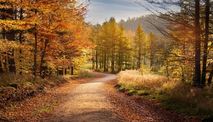 Fototapeta premium a calm and peaceful dirt pathway meanders gently through a picturesque and tranquil autumn forest landscape