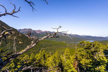 Fototapeta premium Beautiful View of Custer Gallatin National Forest Valley from the Mountains at Sunrise