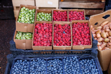 Fresh Blueberry and Raspberry Harvest Boxes