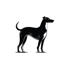 Silhouette of a sleek black dog standing with its tail curved upward in a simple vector illustration