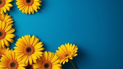 Vibrant yellow gerbera flowers arranged in a circular pattern against a deep blue background, symbolizing joy and energy.
