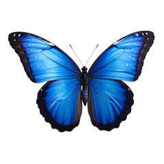  Beautiful blue butterfly in full body close-up portrait, flying with grace png 