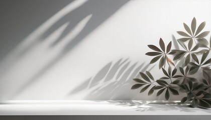 white wall with delicate leaf shadows casting artistic patterns for backdrop design