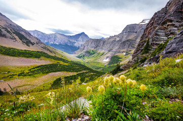 Fototapeta premium Panoramic view of Glacier National Park from Siyeh Pass Trail