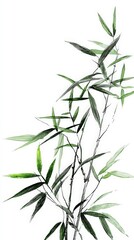 Fototapeta premium Watercolor painting of bamboo stalks with leaves, depicted against a clean white background.
