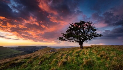 a lone tree stands atop a grassy hill at sunset with dramatic clouds and vibrant sky colors in the background
