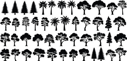 Tree silhouettes, botanical shapes, forest icons, nature elements, coniferous trees, broadleaf trees, palm trees, black illustration, environment, design assets