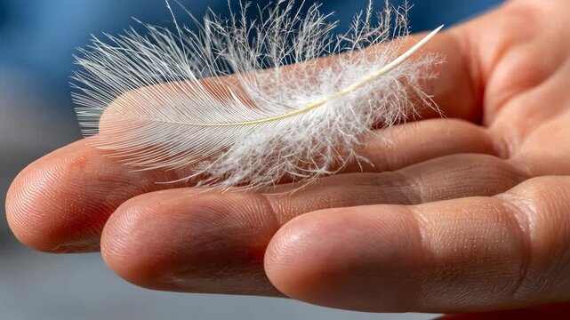 Delicate white feather resting gently on a person's hand while showcasing intricate details of nature at close range