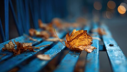 Autumnal leaf on a weathered blue bench