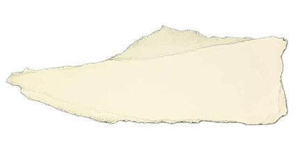 Torn paper background. Paper different scraps, ripped page piece. White paper ripped message background.