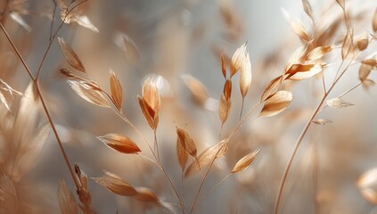 Soft, golden grasses in sunlight