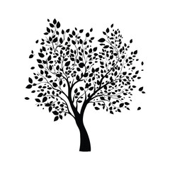 Obraz premium Silhouette of a deciduous tree with dense foliage and branches against a white background image art vector