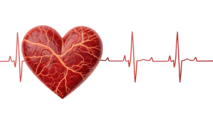red heart and heartbeat isolated on transparent background