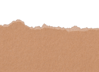 Torn craft paper texture