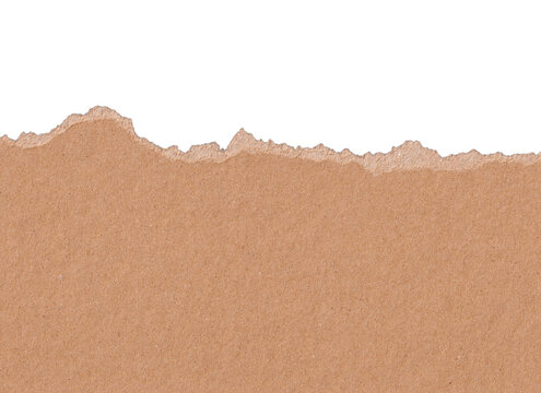 Torn craft paper texture