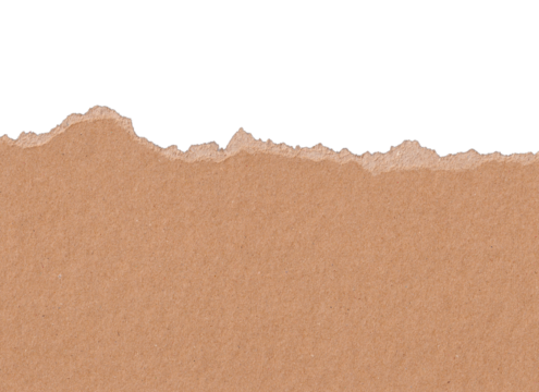 Torn craft paper texture