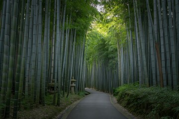 Fototapeta premium Serene pathway through a dense, towering bamboo forest with a stone lantern walkway