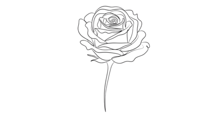 Elegant White Rose Outline on Black Background