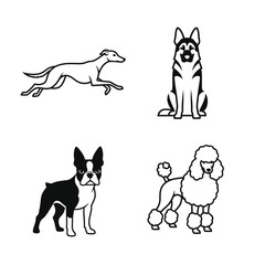 Line art dog breeds including Greyhound, German Shepherd, Boston Terrier, and Poodle