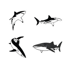 Black and White Illustration of Various Shark Species Hammerhead, Whale Shark and More