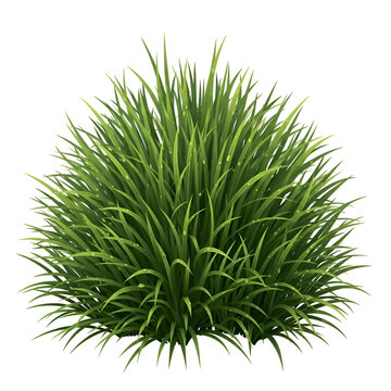 Create Lush Green Grass with Transparent Background:  A Detailed Tutorial for Digital Artists, Graphic Designers, and Video Editors using  Software.
