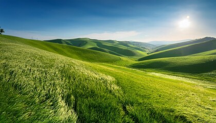 Obraz premium rolling green hills serene landscape of gently rolling green hills covered in lush vibrant grass under a bright clear sky the soft curves of the hills create a sense of calm and natural beauty